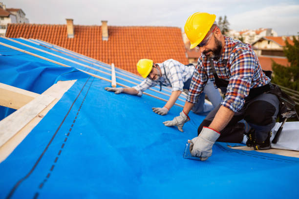 Best Roof Coating and Sealing  in Sheffield Lake, OH